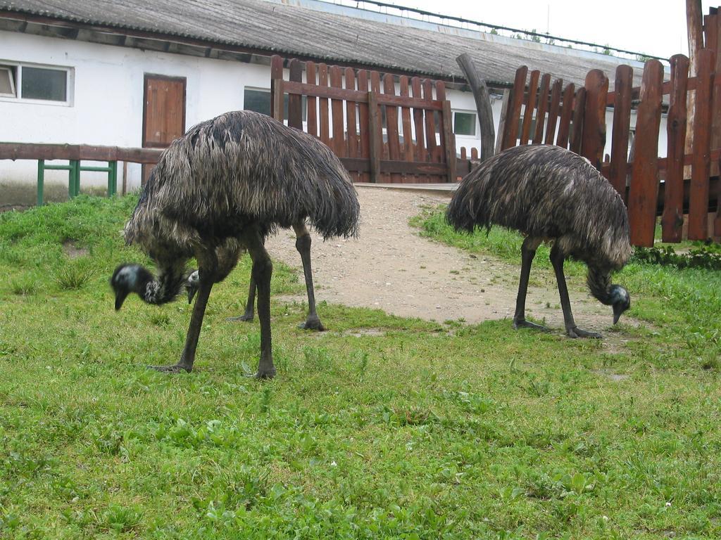 Zoopark Zelcin Villa Melnik Exterior photo